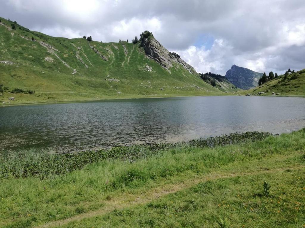 Le Genepi Lägenhet Taninges Exteriör bild