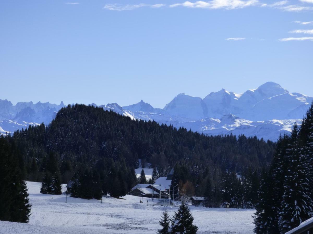 Le Genepi Lägenhet Taninges Exteriör bild